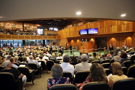 Scenics, 2022 Fasig-Tipton New York Bred Yearlings Sale in Saratoga Springs NY. Scenics, 2022 Fasig-Tipton New York Bred Yearlings Sale in Saratoga Springs NY.
