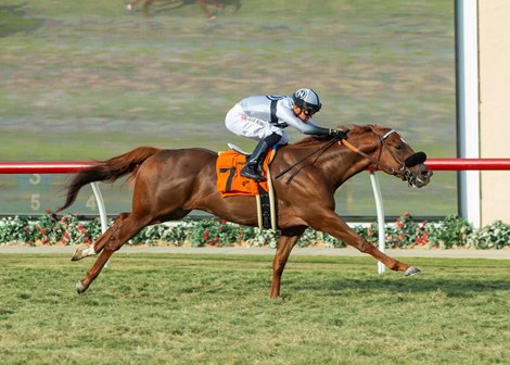 Turn on The Jets and jockey Juan Hernandez wins $100,000 Stormy Free Bet, Saturday, December 3, 2022 at Del Mar Thoroughbred Club, Del Mar CA. Turn on The Jets and jockey Juan Hernandez wins $100,000 Stormy Free Bet, Saturday, December 3, 2022 at Del Mar Thoroughbred Club, Del Mar CA.