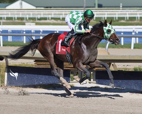 Game changer - Maiden Win, Gulfstream Park, February 1, 2023 Game changer - Maiden Win, Gulfstream Park, February 1, 2023