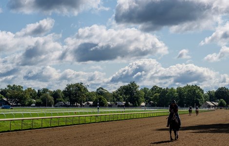 A beautiful day replaced the rain, the heat and the humidity on a Chamber of Commerce type day as the horses go to the track for exercise on the Oklahoma Training Center adjacent to the Saratoga Race Course Sunday, July 30, 2023 in Saratoga Springs, N.Y. Photo by Skip Dickstein A beautiful day replaced the rain, the heat and the humidity on a Chamber of Commerce type day as the horses go to the track for exercise on the Oklahoma Training Center adjacent to the Saratoga Race Course Sunday, July 30, 2023 in Saratoga Springs, N.Y. Photo by Skip Dickstein