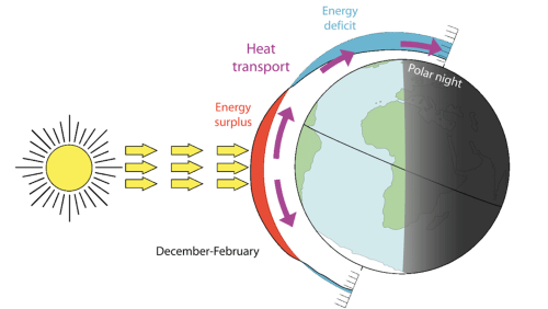 Screen Shot 2024-06-11 at 11.36.17 AM