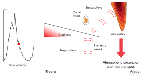 Screen Shot 2024-06-11 at 11.42.39 AM