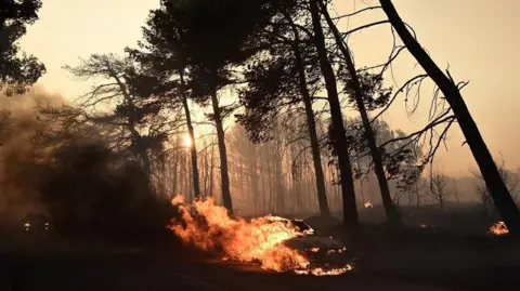 Reuters A car burns during a forest fire in the village of Varnavas, near Athens, Greece, August 11, 2024. 