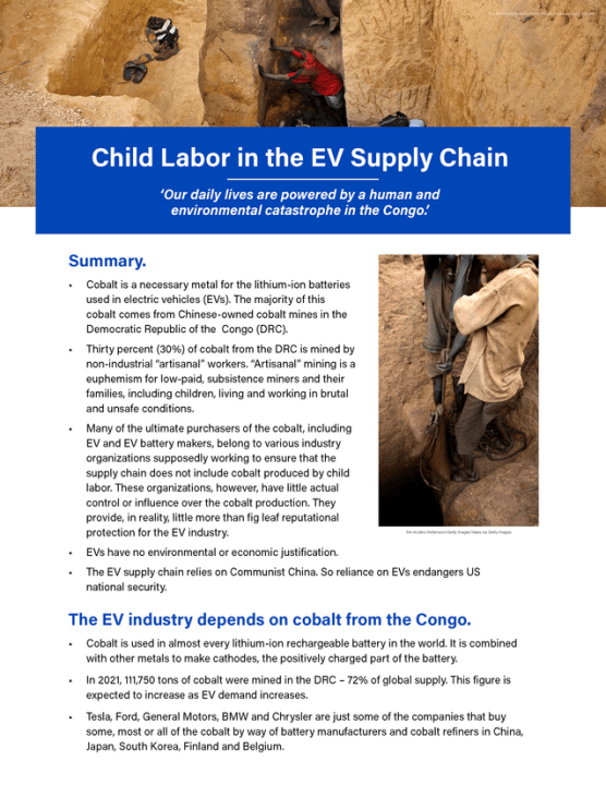 rsz_ev_factsheet_nov_final_page_1-1