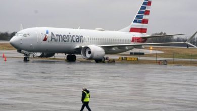 Plane diverted after passenger assaults American Airlines flight attendant - National