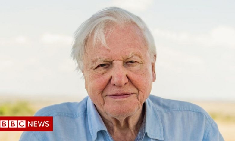 Climate change: Sir David Attenborough in 'act now' warning