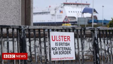Brexit: European Court of Justice 'not the only NI Protocol problem'