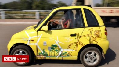 The bumpy road to India's electric car revolution