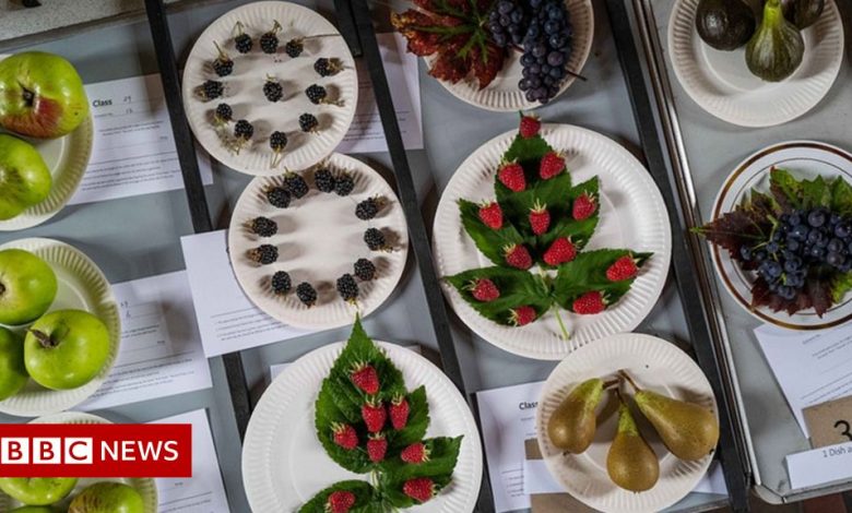 Flowers, fruit and bakes compete for best in show