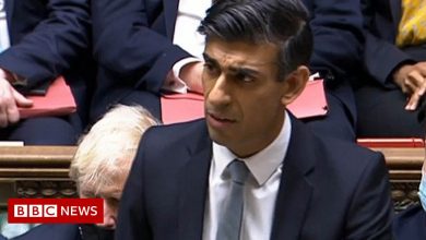 Budget 2021: Rishi Sunak unveils help for low paid, pubs and businesses