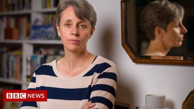 Sussex University free speech row professor quits