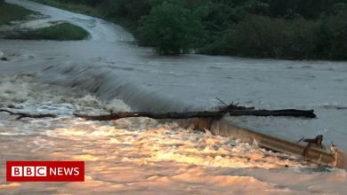 Sicily floods: Stay at home warning as Cyclone Apollo hits