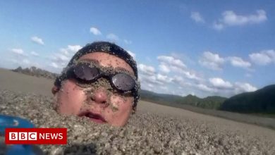 Japan undersea volcano: Artist tries to swim in floating pumice stone
