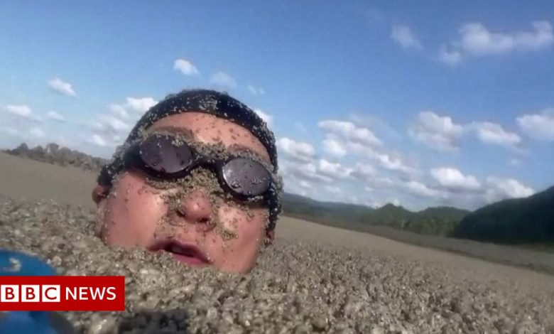 Japan undersea volcano: Artist tries to swim in floating pumice stone