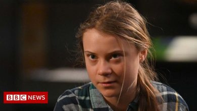 Greta Thunberg: You need to anger some people, says climate activist