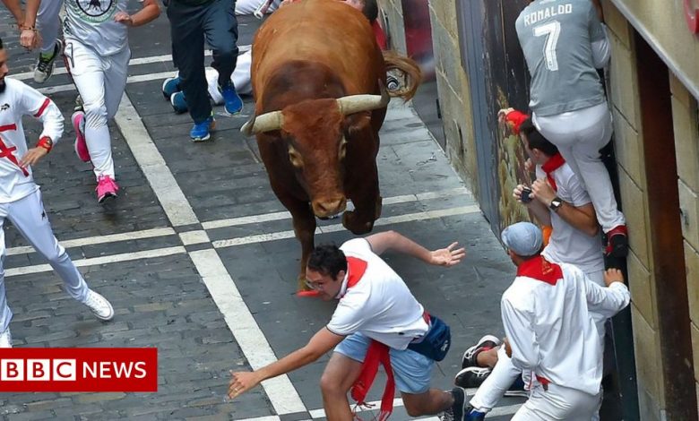 Man dies during bull-running event in Spanish city of Onda