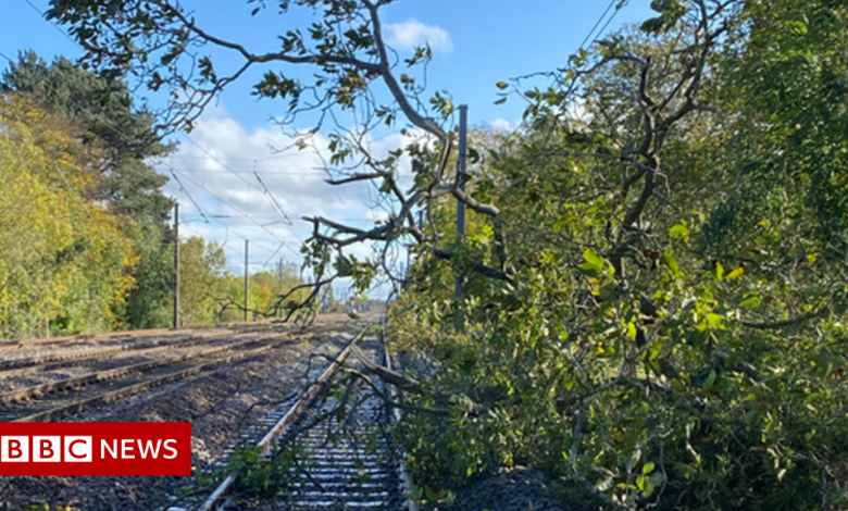 Strong wind damage closes rail lines and roads