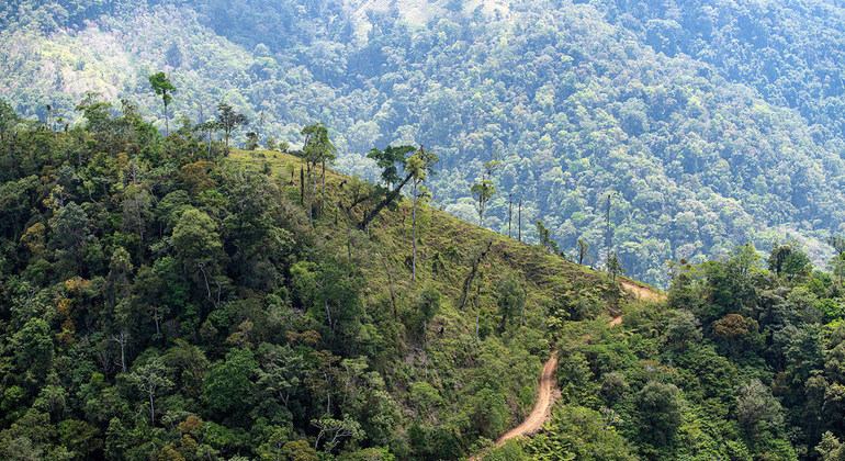 From the Field: Costa Rica points the way to a sustainable world |