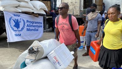 WFP steps up support in Haiti |