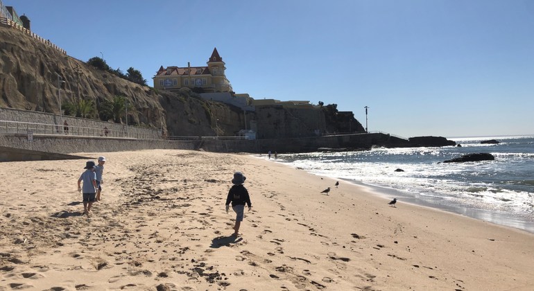 Portuguese beaches lead the way during UN, EU clean-up campaign  |