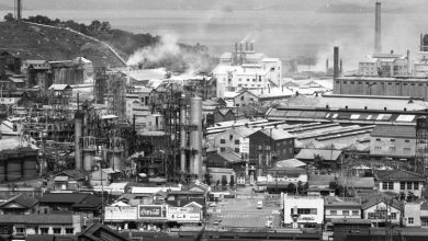First Person: Telling the tragic story of mercury poisoning in Japan |