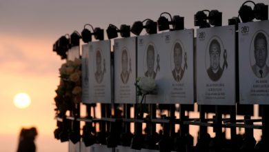 Memorials honour COVID-19's five million dead