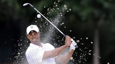 Tour Championship Watch Live Stream Free Online & Listen: Round 1 Live Coverage from East Lake GC Atlanta : GOLF : Sports World News