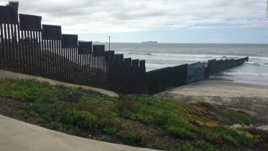 A woman died trying to swim across the US-Mexican border with a group of migrants, officials say