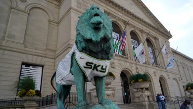 A lion statue outside the Art Institute of Chicago wears a Chicago Sky jersey as the city celebrates the team's 2021 WNBA championship.