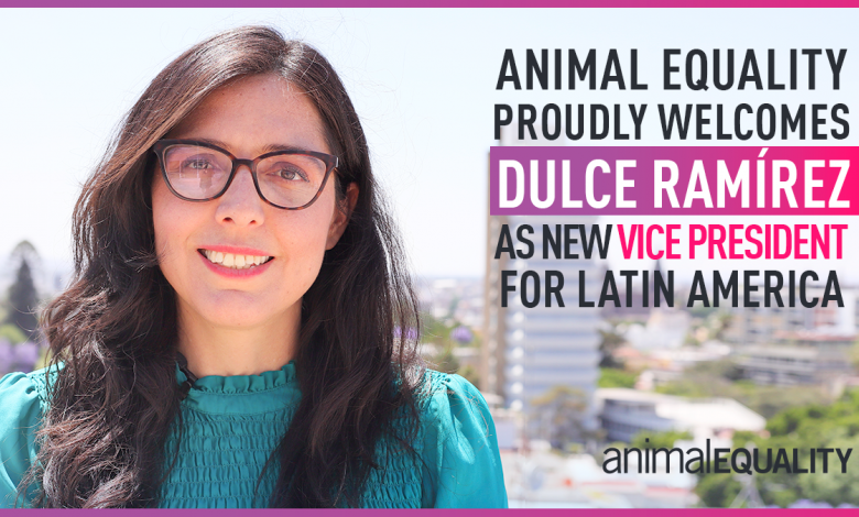 Animal Equality Proudly Welcomes Dulce Ramírez as Vice president for Latin America | Animal Equality