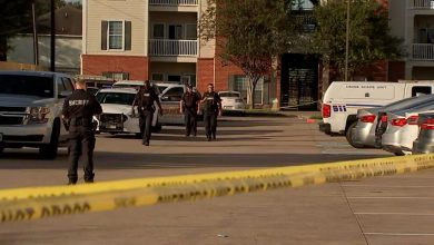 Child whose skeletal remains were found in Houston apartment killed by 'homicidal violence' medical examiner says