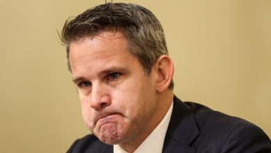 GOP Rep. Adam Kinzinger fought Trump for the soul of his party. Trump won.