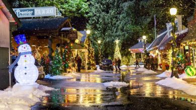 Is There a New Christmas in Evergreen Hallmark Movie in 2021?