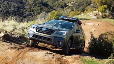 Celebrate National Cat Day by winning a Subaru Outback full of pet gear