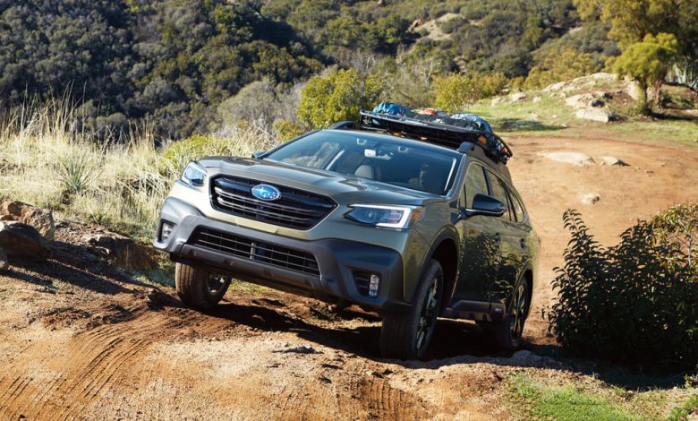 Celebrate National Cat Day by winning a Subaru Outback full of pet gear