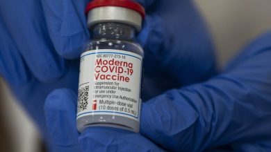 Moderna says its low-dose COVID shot works for kids 6 to 11