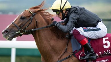 Stradivarius to Remain in Training for 2022 Campaign