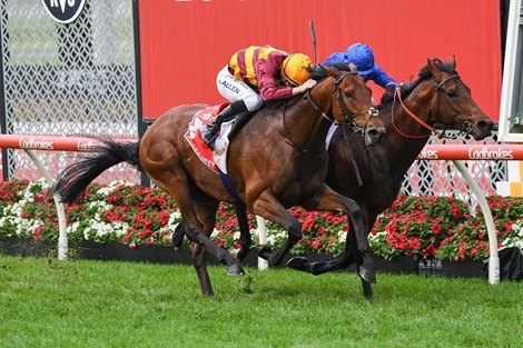 State of Rest Survives Inquiry to Win Cox Plate