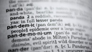 Merriam-Webster adds 455 new words including 'dad bod' and 'amirite'