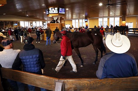 Record-Setting Action Continues at F-T October Sale