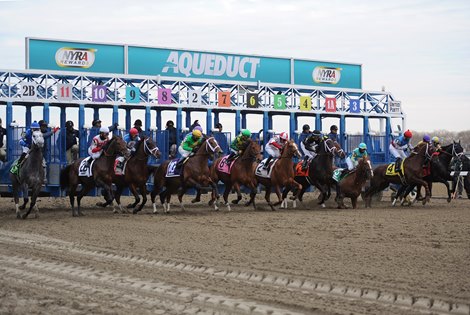 Aqueduct to Re-Open to Fans Beginning Nov. 11