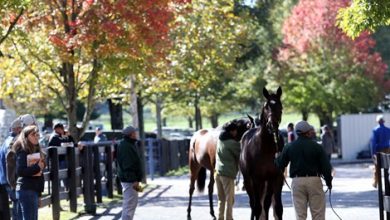 October Sale Soars Above Expectations