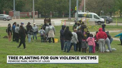 15 families plant trees in honor of loved ones lost to gun violence | St. Louis News Headlines