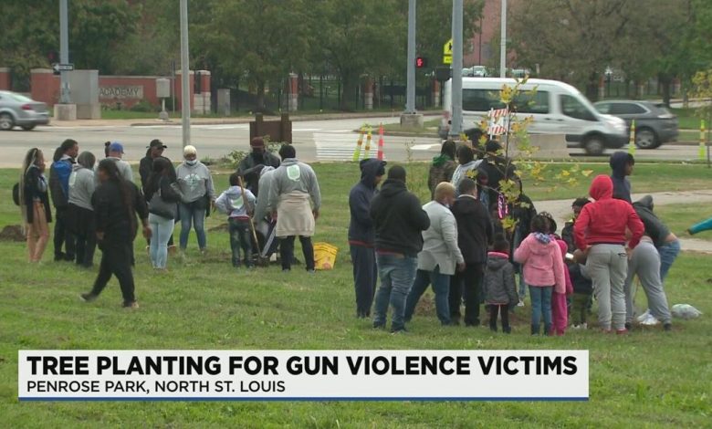 15 families plant trees in honor of loved ones lost to gun violence | St. Louis News Headlines