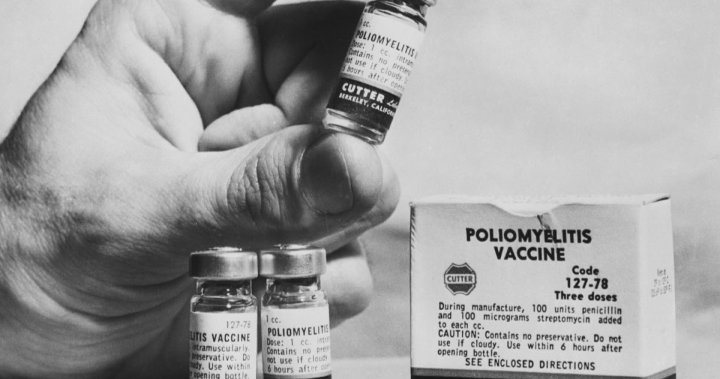 ‘These diseases are now vaccine preventable’: the parallels between polio and COVID-19