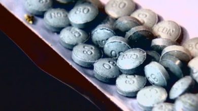 Alberta’s opioid poisoning crisis approaching deadly record, data shows