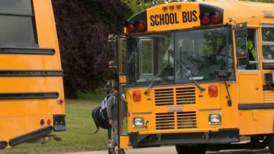 Insurance rates could impact school bus service in Alberta: contractor association