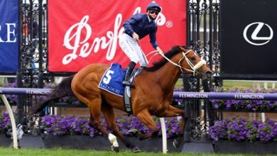 Home Affairs Cements Place on Coolmore Stud Roster