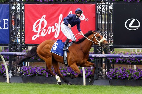 Home Affairs Cements Place on Coolmore Stud Roster