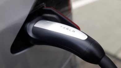 Tesla's iron-based battery plan paves way for Chinese in U.S.